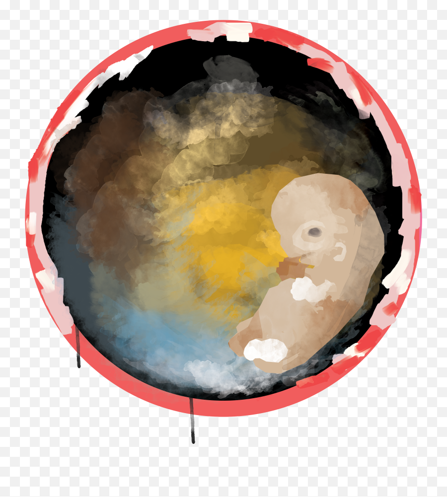 An Illustration For Embryo - Art Paint Png,Embryo Png