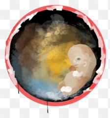 An Illustration For Embryo - Art Paint Png,Embryo Png