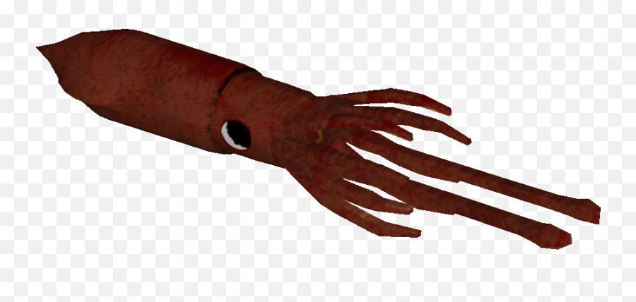 Download Squid - Blood Png,Squid Png