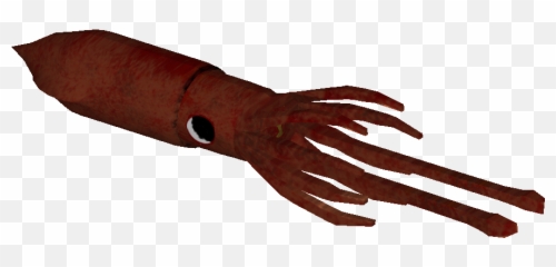 Download Squid - Blood Png,Squid Png