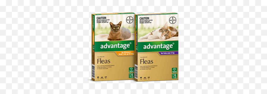 Advantage For Cats Kittens - Advantage Flea Treatment Cats Png,Kitten Transparent
