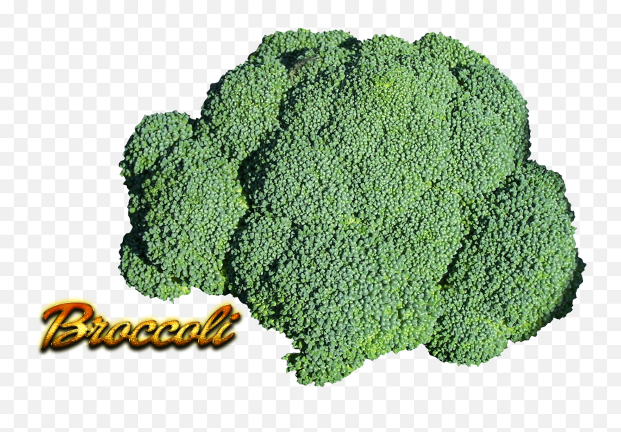 Hd Broccoli Png Transparent Image - Superfood,Broccoli Transparent Background