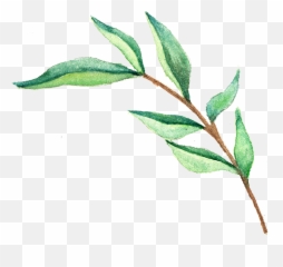 Transparent Images Png - Watercolor Leaf Clip Art
