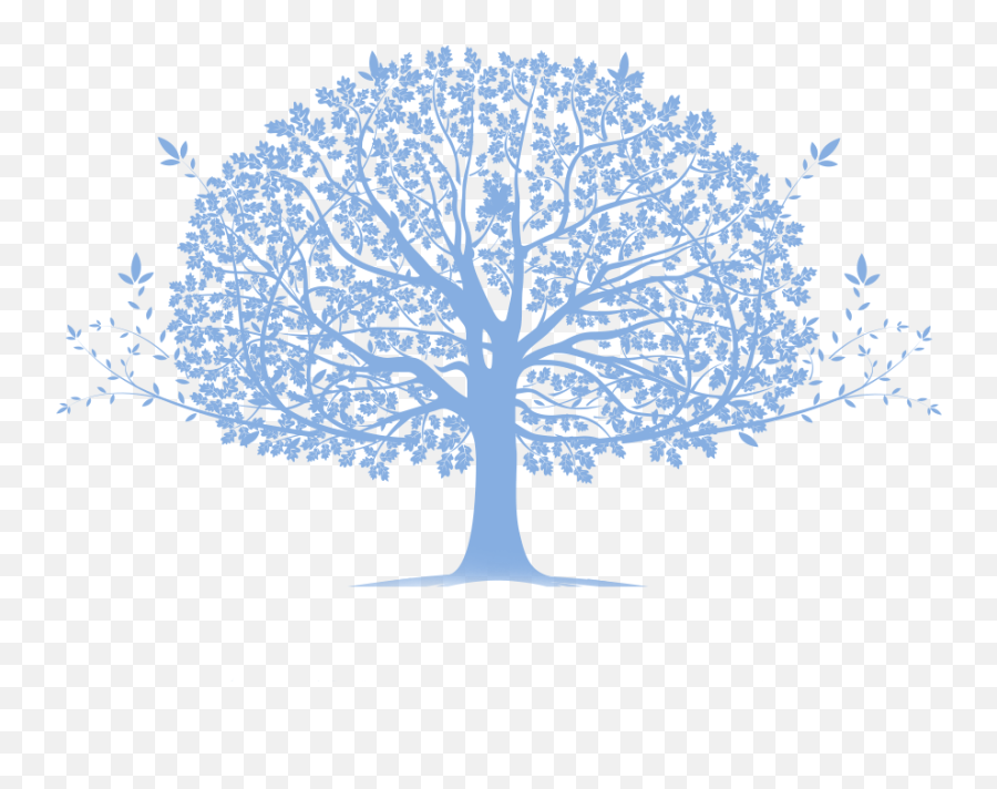 Kennedy Family Tree - Family Tree Blue Png,Family Tree Png