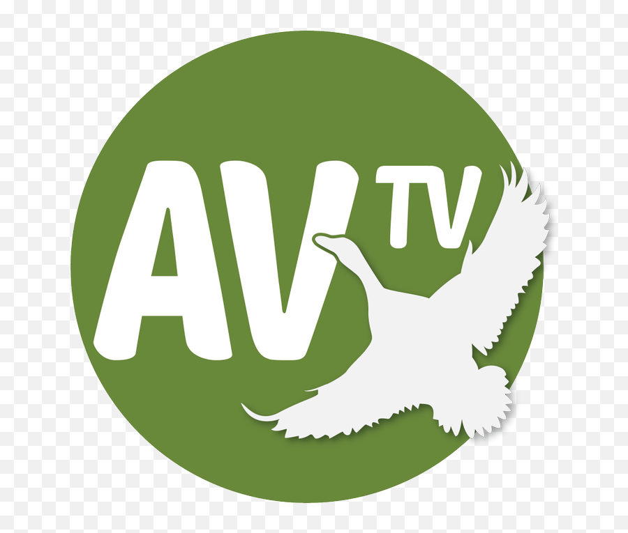 Media Tweets - Av Tv Tv Logo Png,Vodafone Logosu