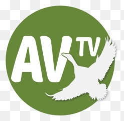 Media Tweets - Av Tv Tv Logo Png,Vodafone Logosu