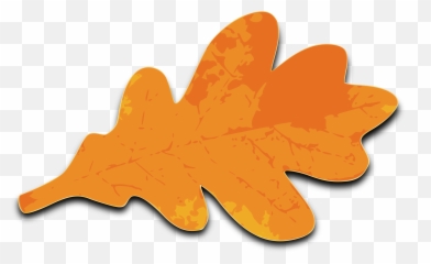 Oak Leaves Clip Art Transparent Png - Clipart Cartoon Leaf