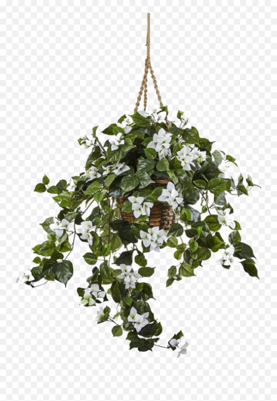 Artificial Hanging Baskets - Kim Kardashian House Empty Png,Hanging Ivy Png