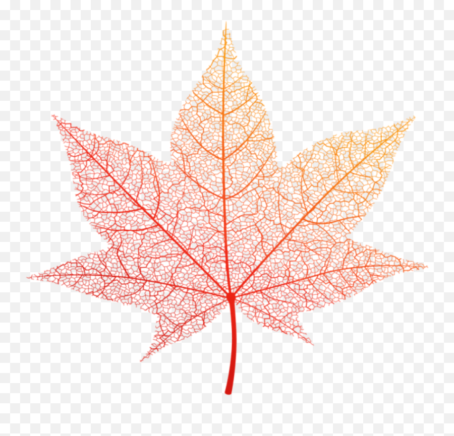Download Transparent Orange Autumn Leaf Clipart Png Photo - Transparent Autumn Leaf Vector,Maple Leaf Transparent