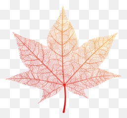 Download Transparent Orange Autumn Leaf Clipart Png Photo - Transparent Autumn Leaf Vector