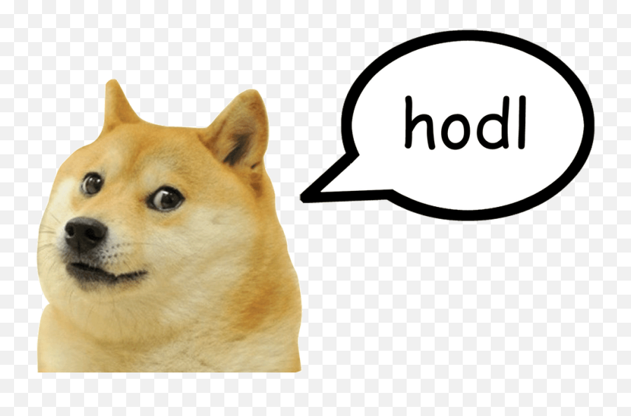 Doge Png - Doge Png,Doge Transparent