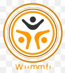 Wiimmfi Main Page - Wiimmfi Patcher Png,Mario Kart Wii Logo