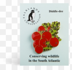 Diddle - Superfood Png,Superfruit Logo