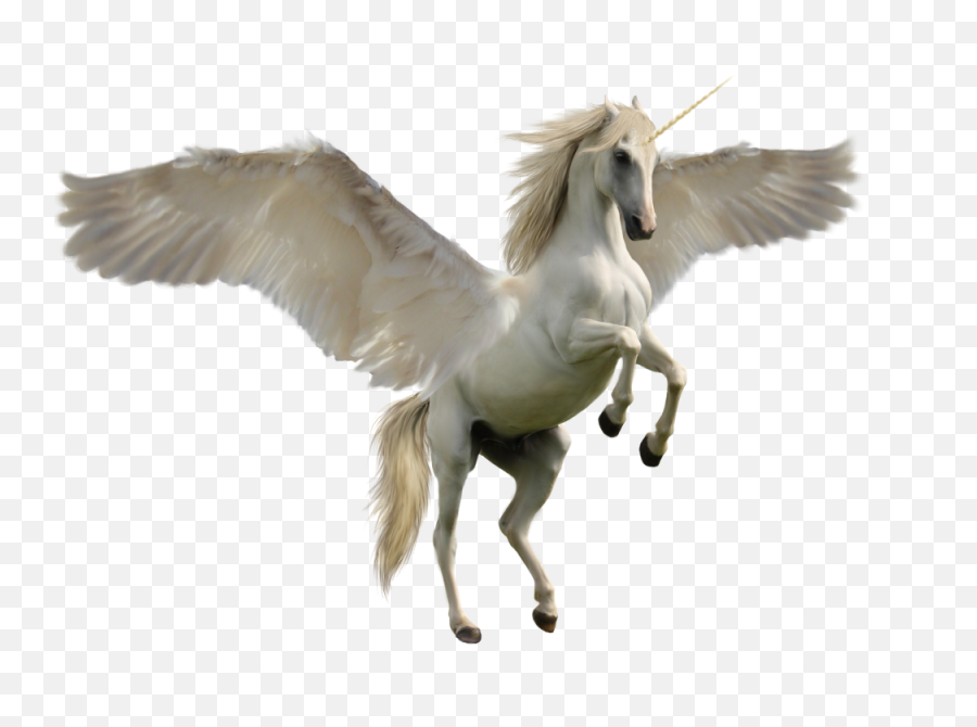 Unicorn Png Image - Unicorn Horse,Transparent Unicorn
