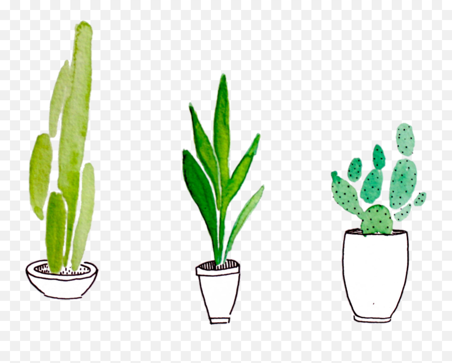 Tumblr Plants Png Transparent - Plants Png,Cacti Png