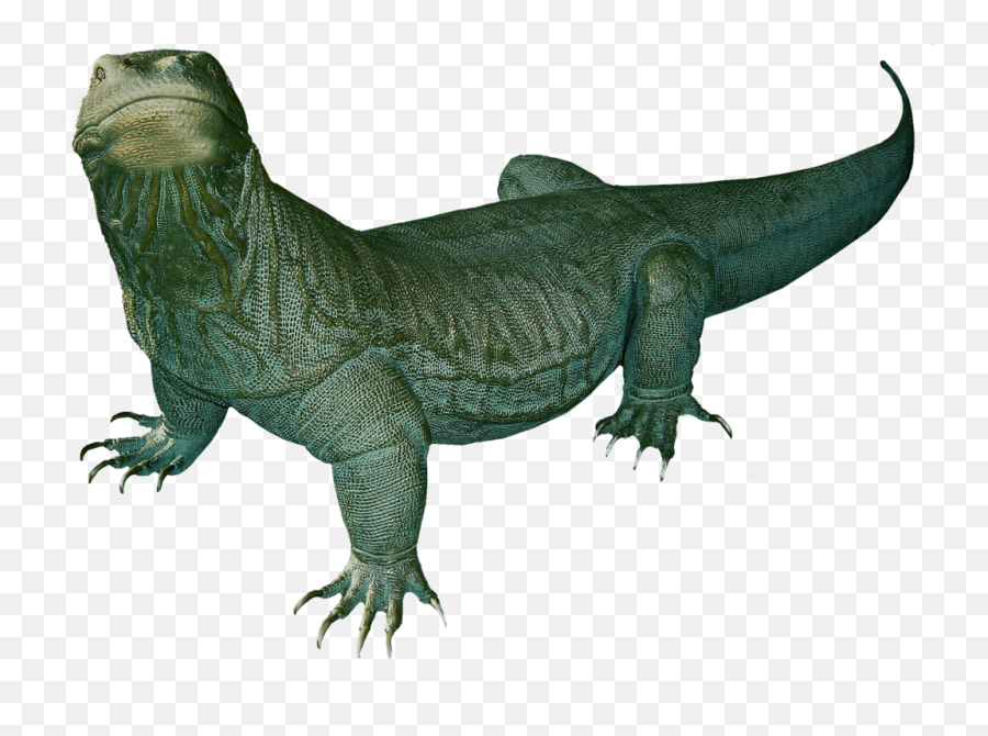 Komodo Dragon - Komodo Dragon Clip Art Png,Komodo Dragon Png