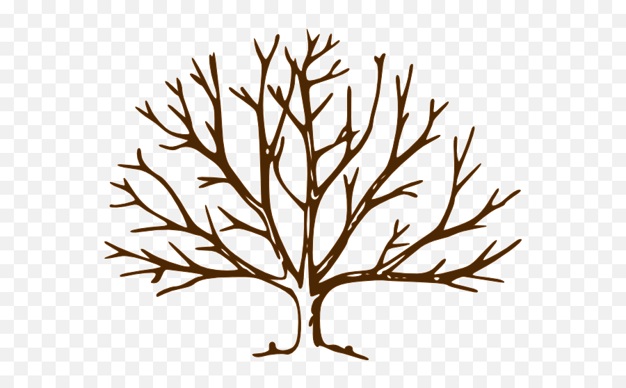 Bare Tree Drawing Free Download - Bare Tree Clipart Png,Tree Branches Png