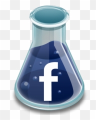 Seo U0026 Adwords Specialist From Sri Lanka Facebook Marketing - Cartoon Facebook Icon Png,Facebook Icon 2013