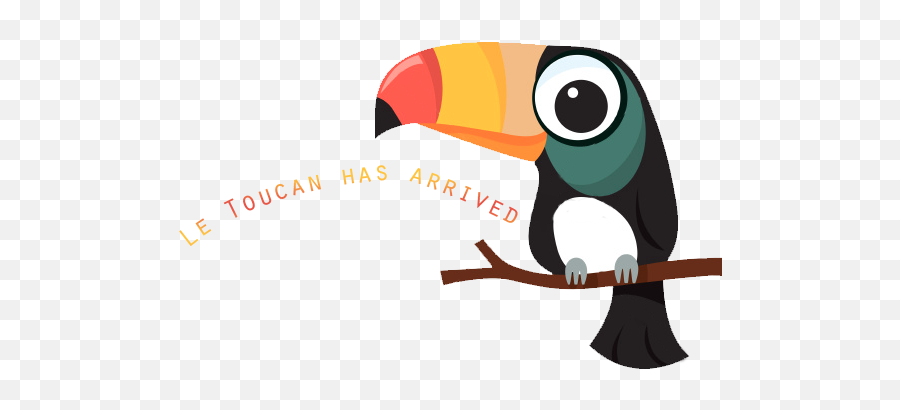 Tucan - Easy To Draw Cartoon Toucan Png,Tucan Png