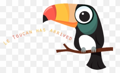 Tucan - Easy To Draw Cartoon Toucan Png,Tucan Png