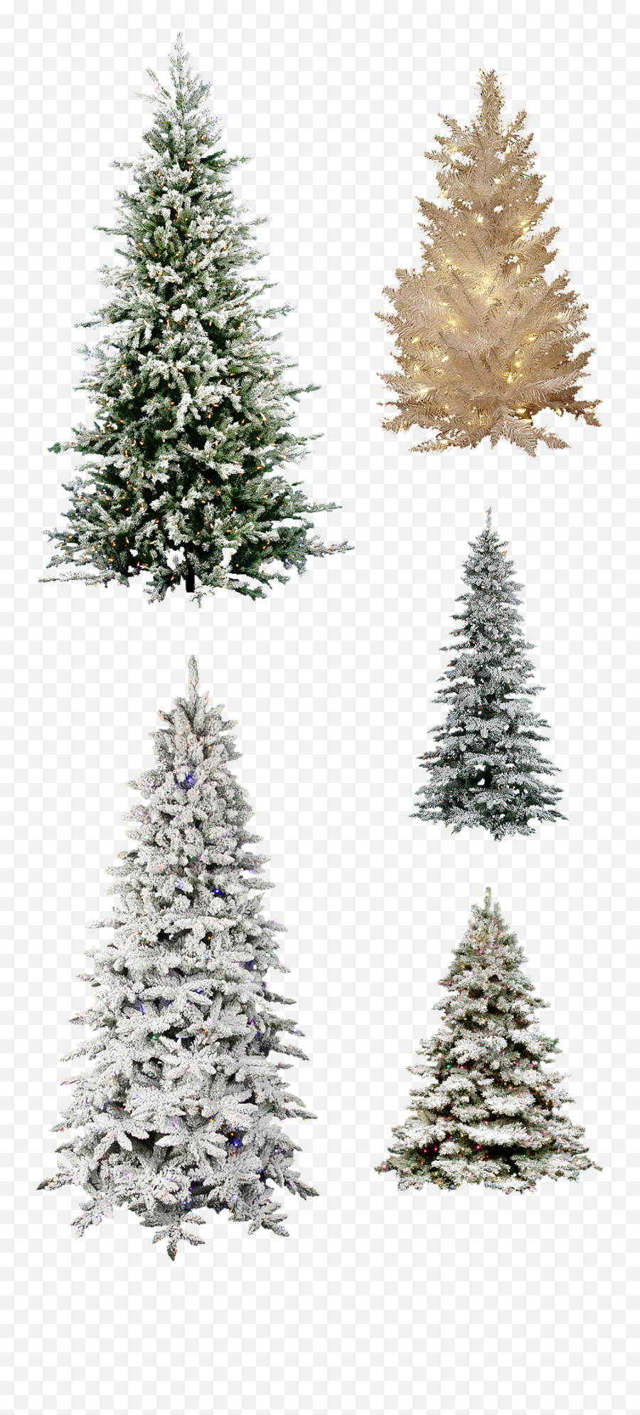 Misc Frosted Christmas Tree Pngs - Christmas Tree,Christmas Pngs
