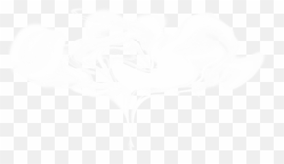 10 White Smoke Png Transparent Onlygfxcom - Macro Photography
