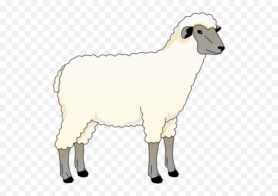 Download And Use Sheep Png Clipart - Animated Picture Of Sheep,Sheep Png