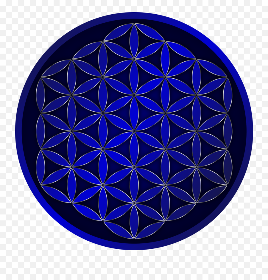 Sacred Geometry U2014 Mage - Rosette Png,Flower Of Life Png