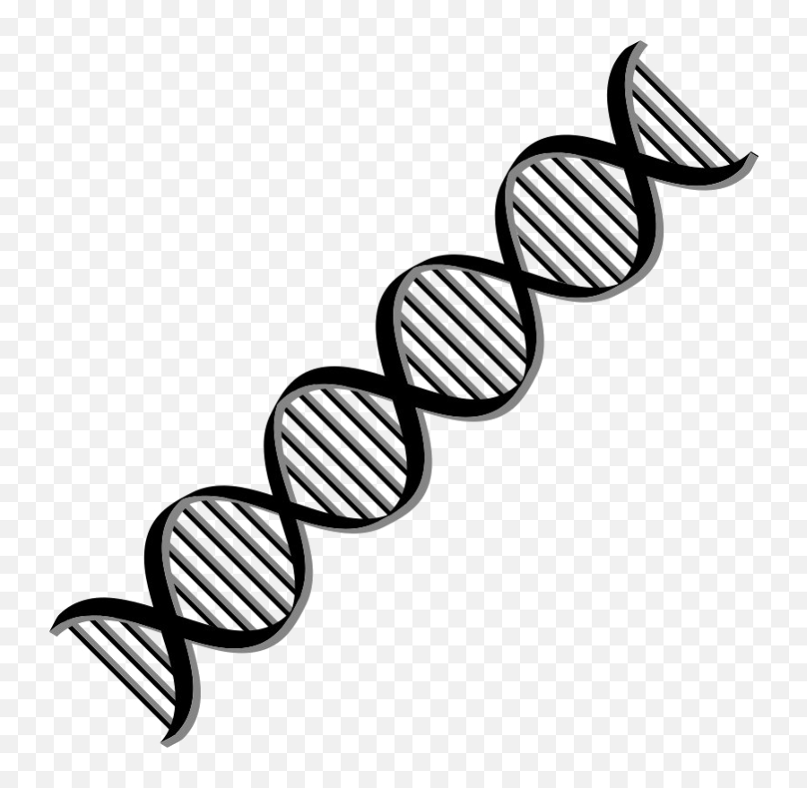 Download Free Png Dna - Dlpngcom Double Helix Dna White Background,Dna Png