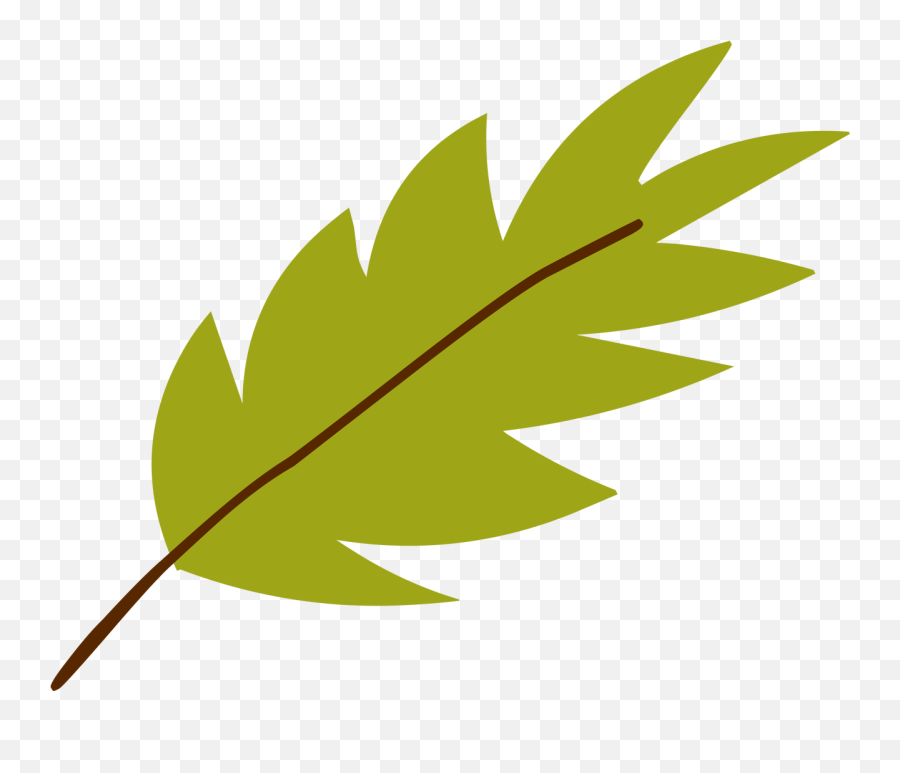 Jungle Leaf Svg Cut File - Clip Art Png,Jungle Leaves Png