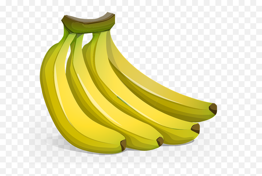 Download Banner Royalty Free Banana Bitmap Frames - Bunch Of Bananas Cartoon Png,Banana Clipart Png