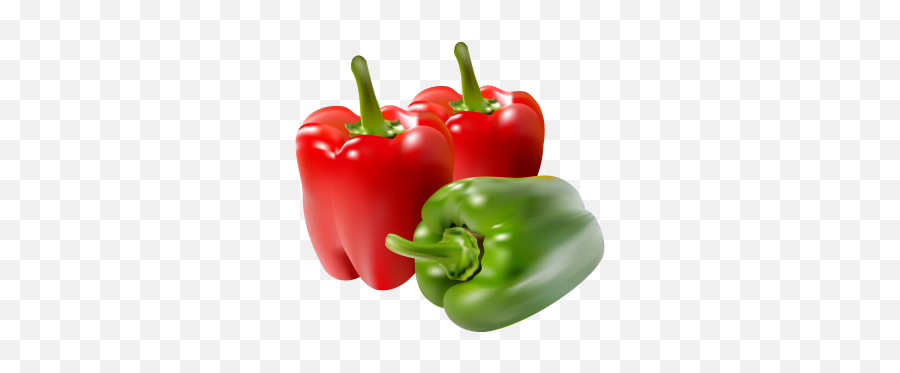 Paprika Png And Vectors For Free Download - Dlpngcom Red And Green Pepper Png,Peppers Png