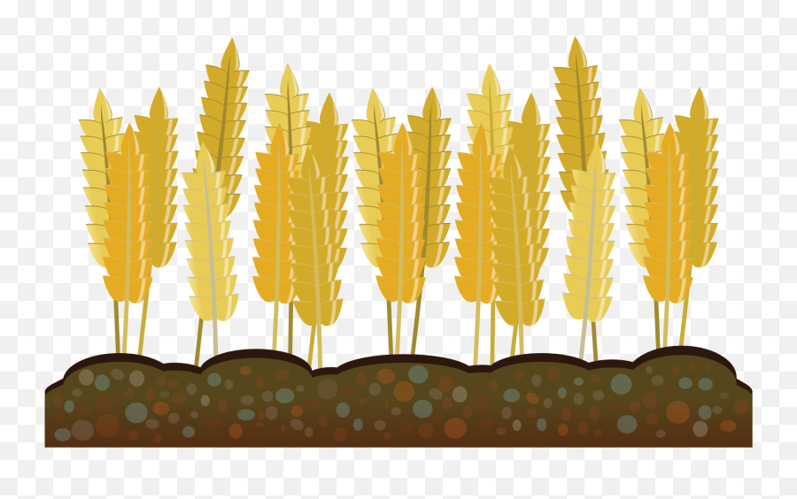 Vector Freeuse Agriculture Clipart Crop - Crop Clipart Png,Crops Png