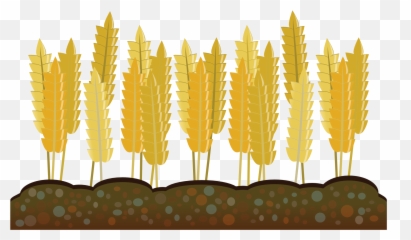 Vector Freeuse Agriculture Clipart Crop - Crop Clipart Png,Crops Png