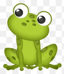 Frog Illustration - Clipart Transparent Background png