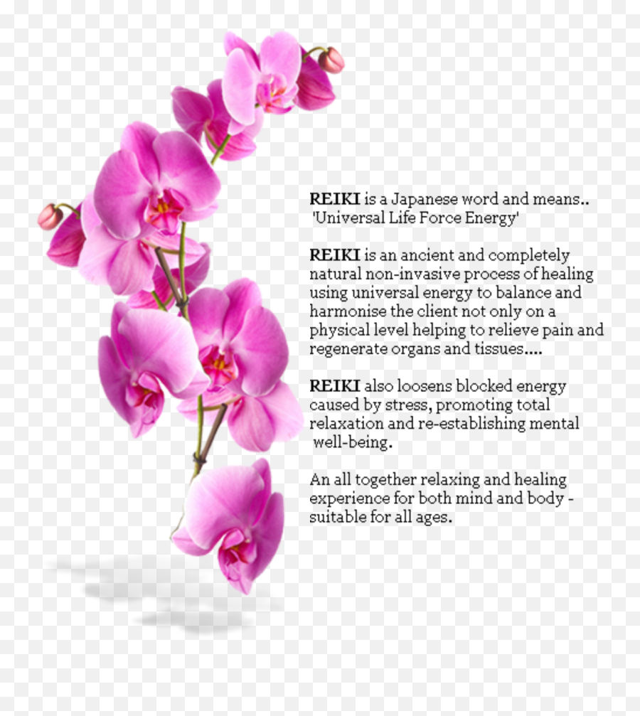 Free Purple Orchid Png Download Clip Art - Png Purple Orchids,Orchid Png