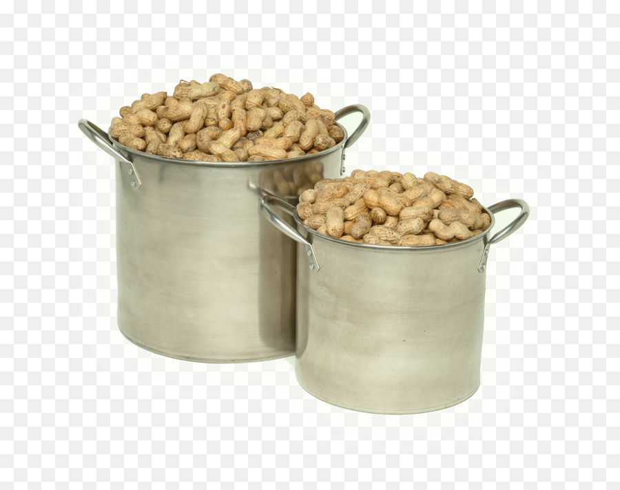 Boiled Peanuts Png U0026 Free Peanutspng Transparent - Boiled Peanuts Png,Peanuts Png