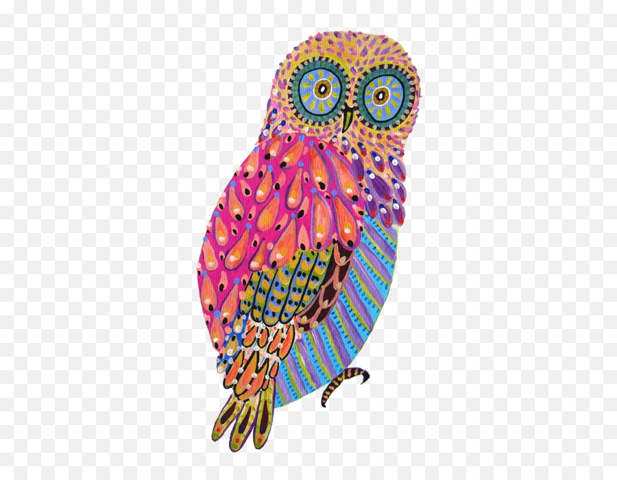 Download Owl Colorful Png Image With No - Colorful Owl Png,Ovo Owl Png