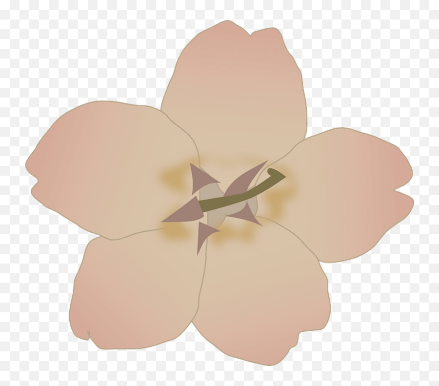 Sakura Blossom - Cherry Blossom Clipart Free Download Purple Flower Clip Art Png,Cherry Blossom Flower Png