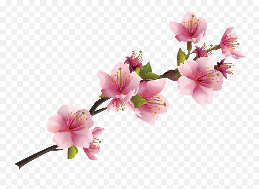 Sakura Png Transparent Images Free Download - Sakura Flower Png Free,Sakura Png