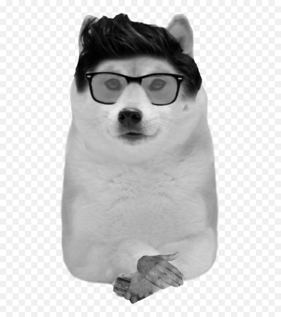 Ironic Doge Memes - Front Facing Doge Png,Doge Transparent