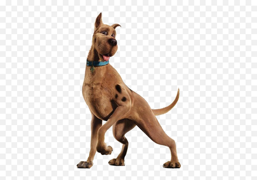 Download Hd Scooby Doo - Scooby Doo Movie Png Transparent Scooby Doo Movie Scooby,Scooby Doo Transparent