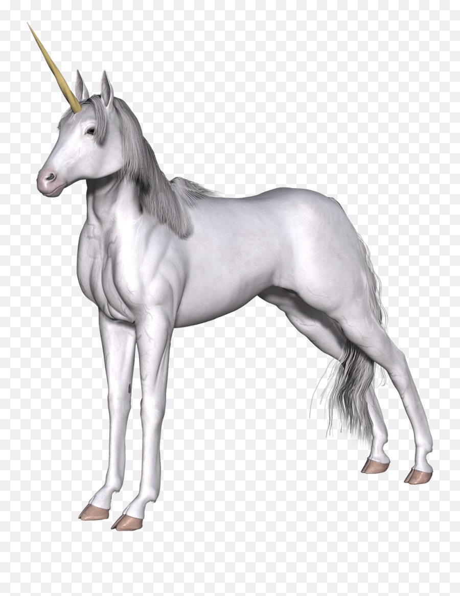 Full White Unicorn Transparent Png - White Unicorn Png,Transparent Unicorn