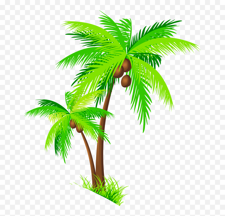 Coconut Tree Clipart Png - Transparent Background Coconut Tree Clipart,Palm Trees Png
