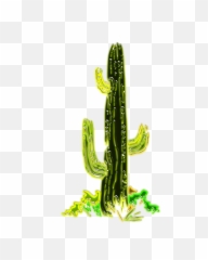 Cactus Desert Plant Cacti Png Image - Barrel
