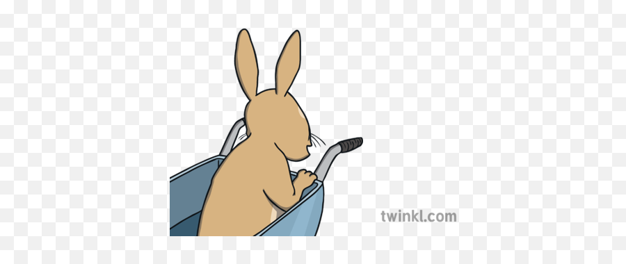 Ks1 Peter Rabbit In Wheelbarrow - British Sign Language Alphabet N Png,Peter Rabbit Png