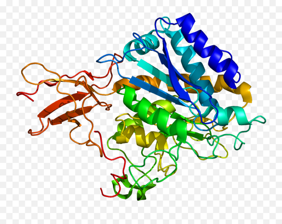 Protein Cpm Pdb 1uwy - Protein Structure Icon Png,Adp Icon File