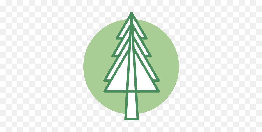 Forests - Alberta Wilderness Association Boreal Forest Icon Png,Icon For Forest