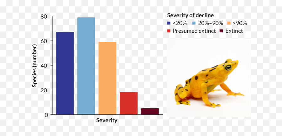 Chytridu0027s Frog - Killing Toll Has Been Tallied U2014 And Itu0027s Bad Golden Poison Dart Frog Population Graph Png,Transparent Frog