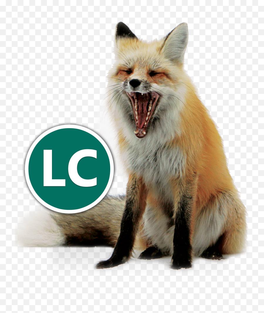 Download Hd Red Fox Icon Conservation - Red Fox Png,National Park Icon